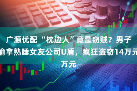 广源优配 “枕边人”竟是窃贼？男子偷拿熟睡女友公司U盾，疯狂盗窃14万元