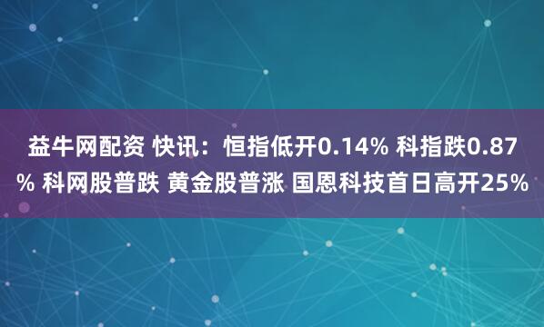 益牛网配资 快讯：恒指低开0.14% 科指跌0.87% 科网股普跌 黄金股普涨 国恩科技首日高开25%