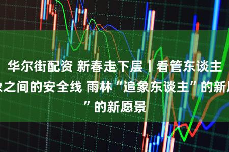 华尔街配资 新春走下层丨看管东谈主与象之间的安全线 雨林“追象东谈主”的新愿景