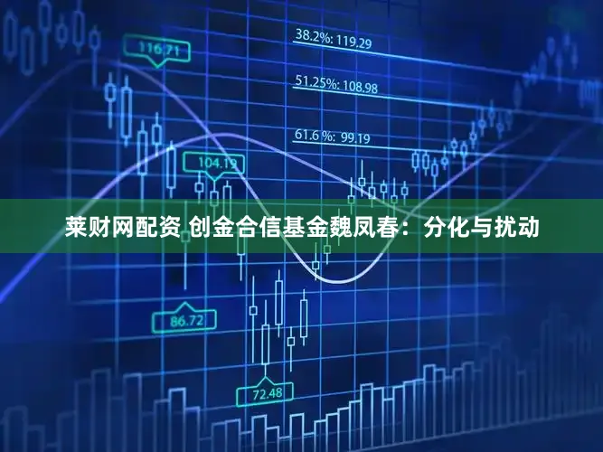 莱财网配资 创金合信基金魏凤春：分化与扰动