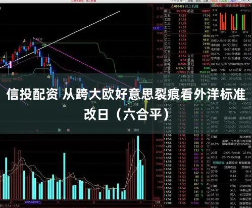 信投配资 从跨大欧好意思裂痕看外洋标准改日（六合平）