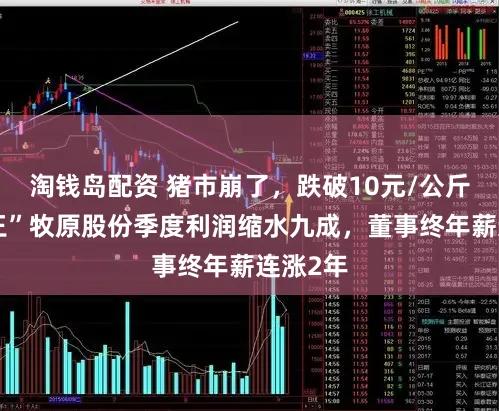 淘钱岛配资 猪市崩了,跌破10元/公斤!“猪王”牧原股份季度利润缩水九成,董事终年薪连涨2年