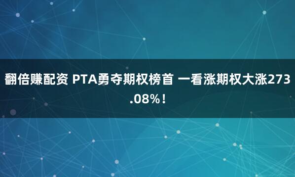 翻倍赚配资 PTA勇夺期权榜首 一看涨期权大涨273.08%！