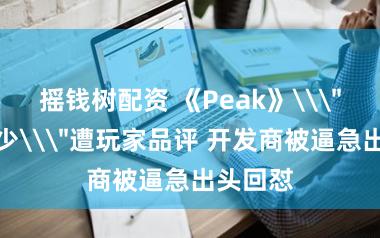 摇钱树配资 《Peak》\