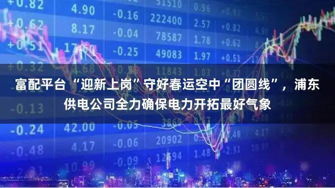 富配平台 “迎新上岗”守好春运空中“团圆线”,浦东供电公司全力确保电力开拓最好气象