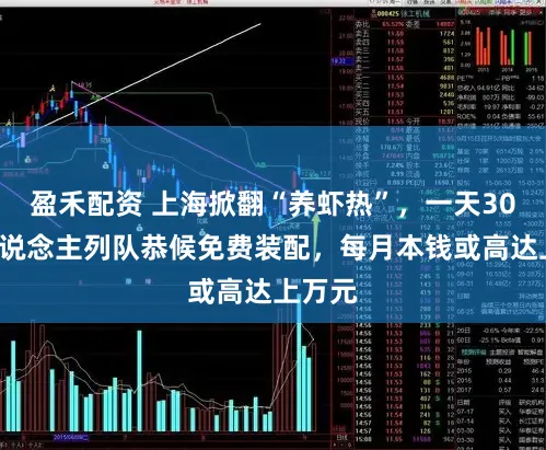 盈禾配资 上海掀翻“养虾热”，一天300多东说念主列队恭候免费装配，每月本钱或高达上万元