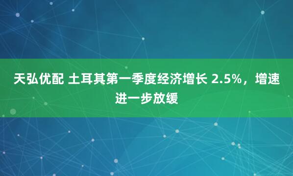 天弘优配 土耳其第一季度经济增长 2.5%，增速进一步放缓