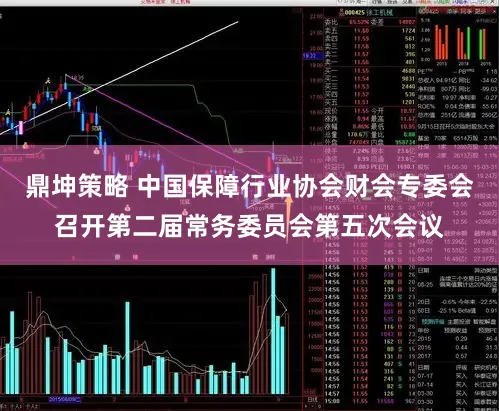 鼎坤策略 中国保障行业协会财会专委会召开第二届常务委员会第五次会议
