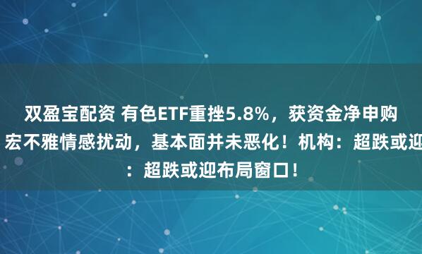 双盈宝配资 有色ETF重挫5.8%，获资金净申购360万份！宏不雅情感扰动，基本面并未恶化！机构：超跌或迎布局窗口！